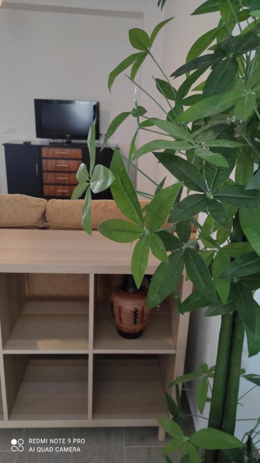 Casa Tia Pilar Βίλα Algodonales Εξωτερικό φωτογραφία