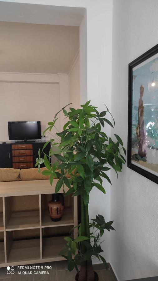 Casa Tia Pilar Βίλα Algodonales Εξωτερικό φωτογραφία